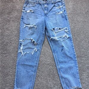 American Eagle Outfitters Mom Jean Distressed Jeans
